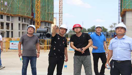 开元网页版董事会巡检圆满完成